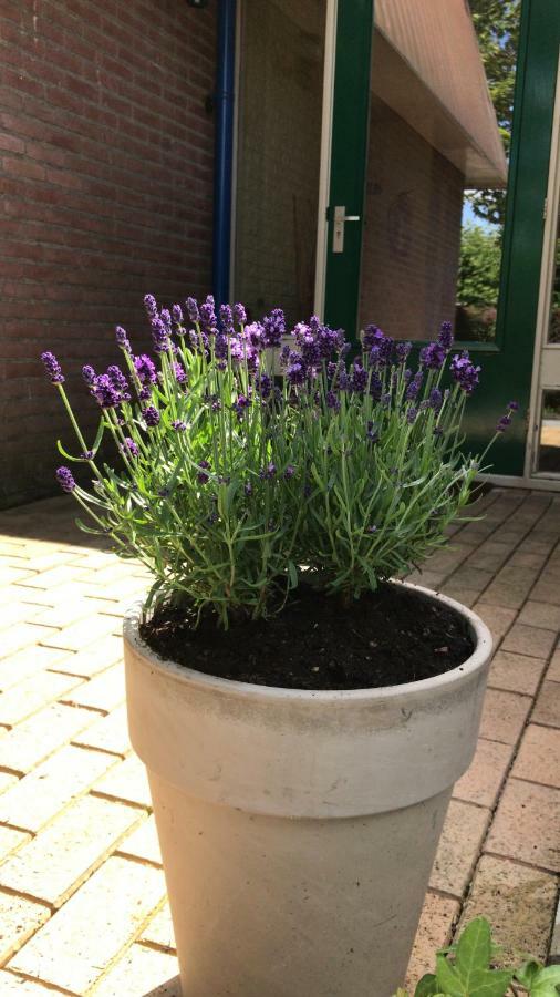 Apartmán Masterlik Driesum Exteriér fotografie